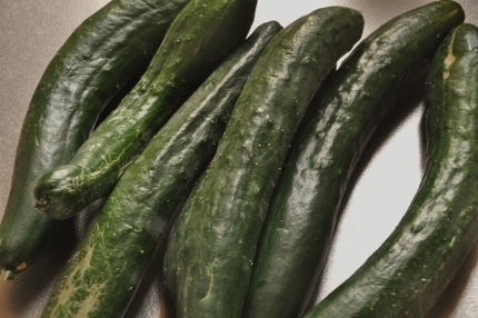 胡瓜を大量消費 キュウリ炒め 手抜き料理でもいいですか 胡瓜を大量消費 キュウリ炒め 手抜き料理でもいいですか